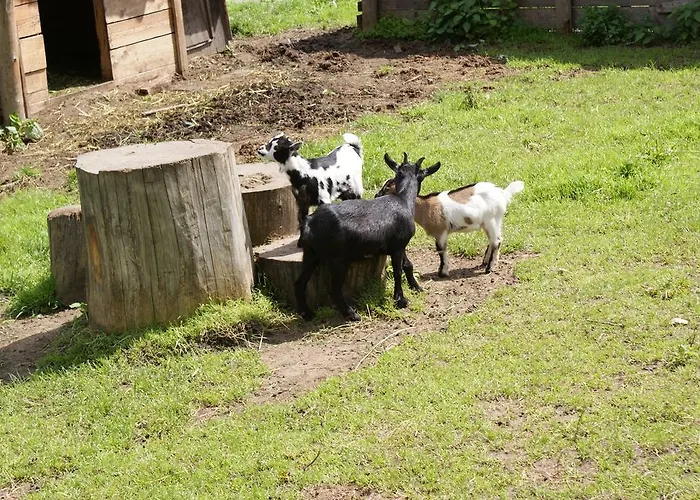 Gasthuis Traube Uderns