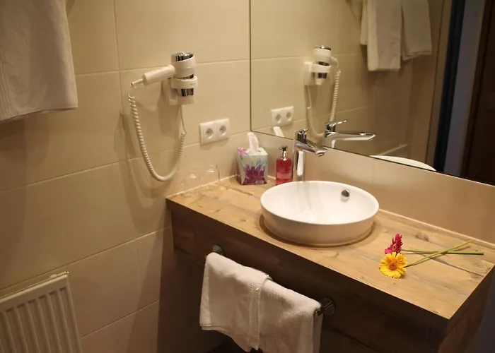 Traube 3* אודרנס