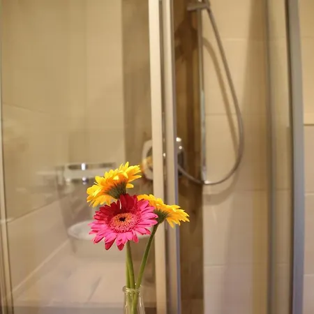 Guest house Traube 3*