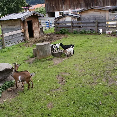 Traube Gasthof Uderns