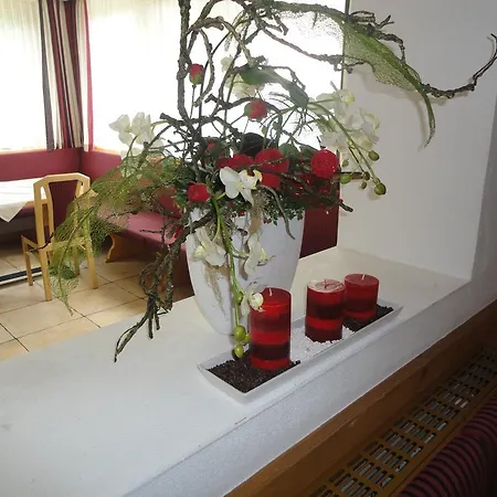 Traube Gasthof 3*