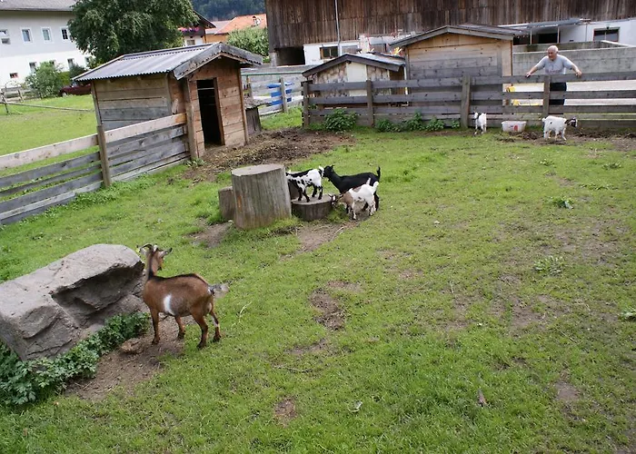 Traube Gasthof Uderns